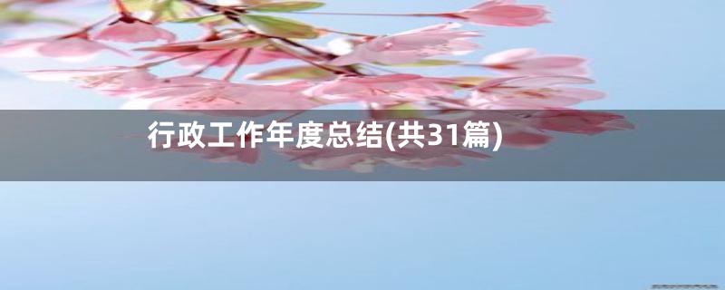 行政工作年度总结(共31篇)
