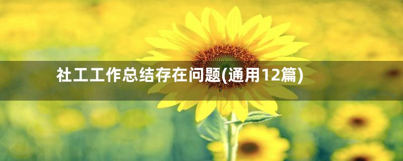 社工工作总结存在问题(通用12篇)