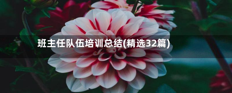 班主任队伍培训总结(精选32篇)