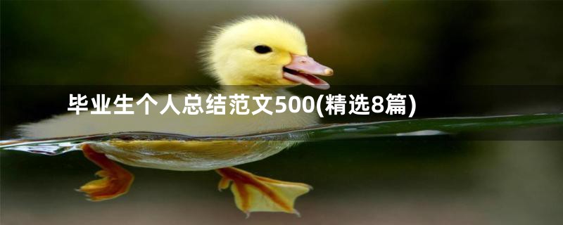 毕业生个人总结范文500(精选8篇)