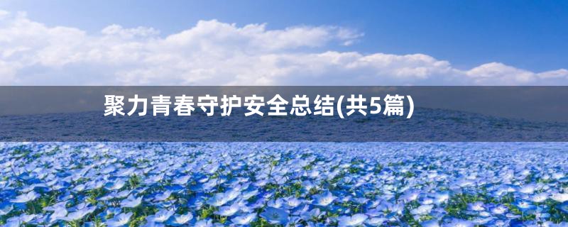 聚力青春守护安全总结(共5篇)