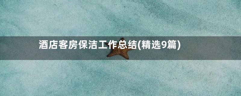 酒店客房保洁工作总结(精选9篇)