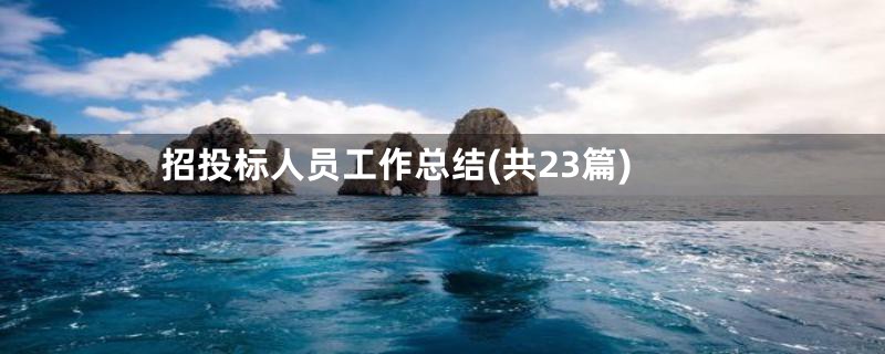 招投标人员工作总结(共23篇)