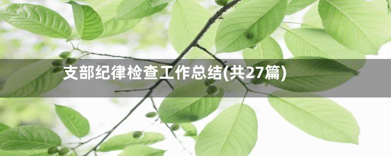 支部纪律检查工作总结(共27篇)