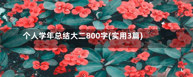 个人学年总结大二800字(实用3篇)