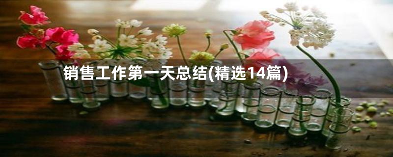 销售工作第一天总结(精选14篇)