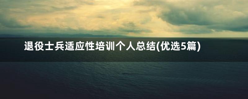 退役士兵适应性培训个人总结(优选5篇)