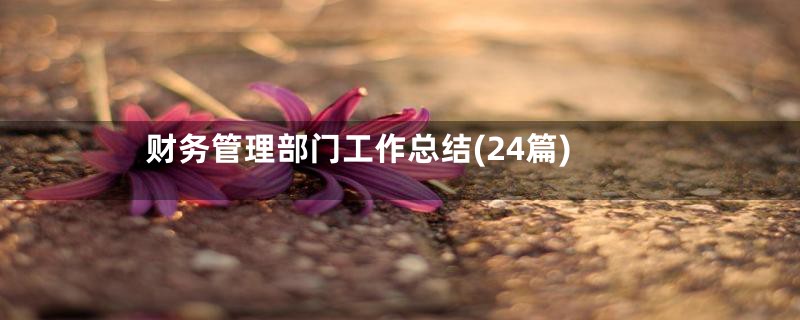 财务管理部门工作总结(24篇)