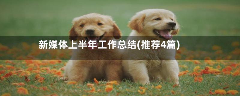 新媒体上半年工作总结(推荐4篇)