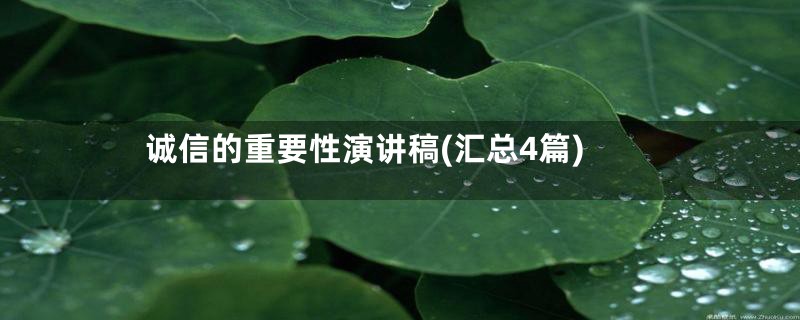 诚信的重要性演讲稿(汇总4篇)
