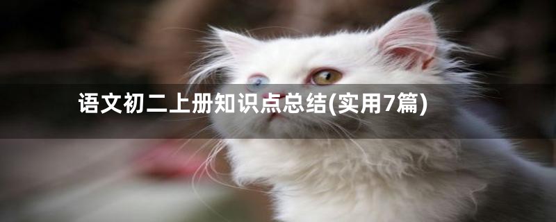 语文初二上册知识点总结(实用7篇)