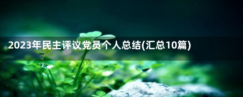 2023年民主评议党员个人总结(汇总10篇)