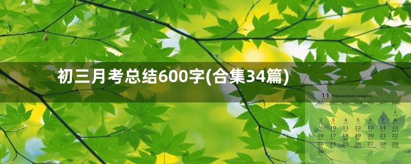 初三月考总结600字(合集34篇)
