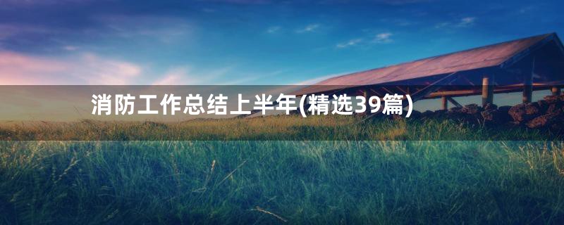 消防工作总结上半年(精选39篇)
