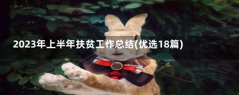 2023年上半年扶贫工作总结(优选18篇)