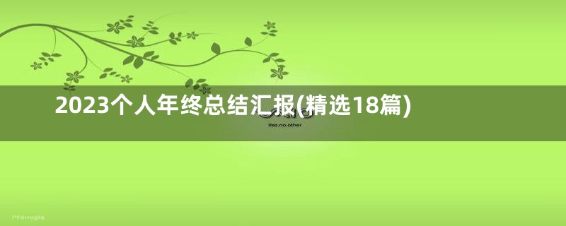 2023个人年终总结汇报(精选18篇)