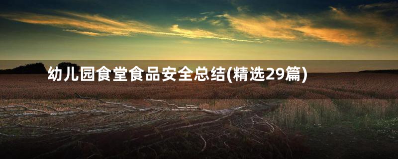 幼儿园食堂食品安全总结(精选29篇)