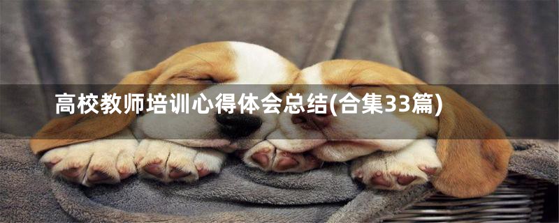 高校教师培训心得体会总结(合集33篇)