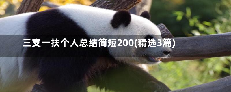 三支一扶个人总结简短200(精选3篇)