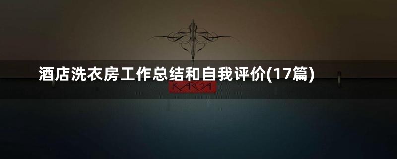 酒店洗衣房工作总结和自我评价(17篇)