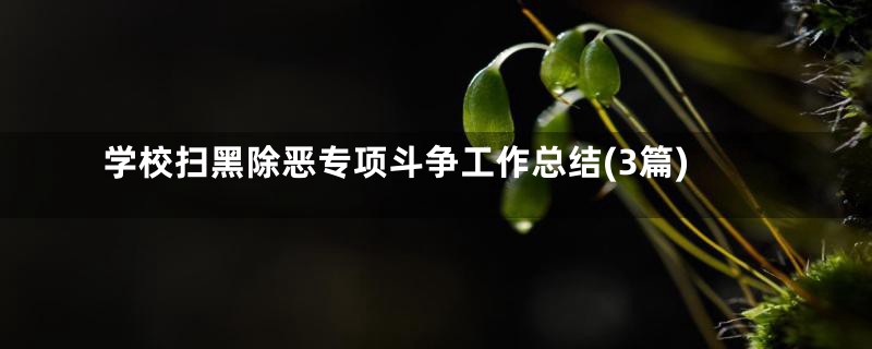 学校扫黑除恶专项斗争工作总结(3篇)