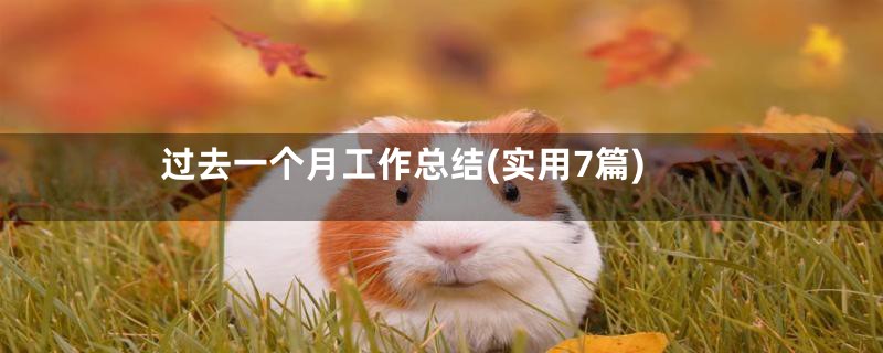 过去一个月工作总结(实用7篇)