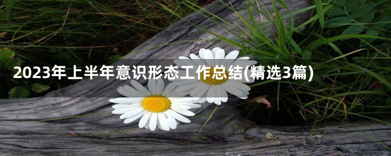 2023年上半年意识形态工作总结(精选3篇)