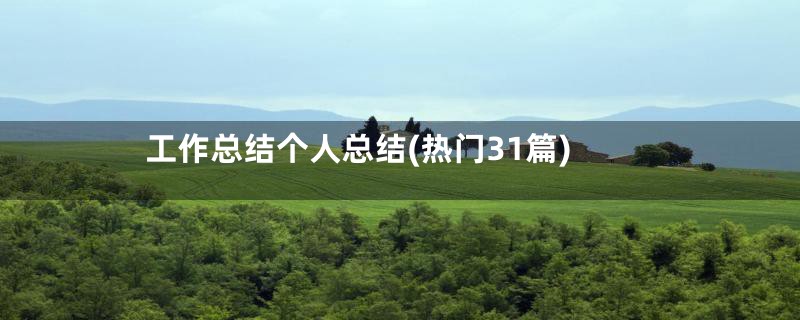 工作总结个人总结(热门31篇)