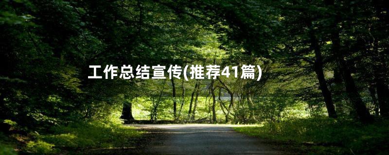 工作总结宣传(推荐41篇)