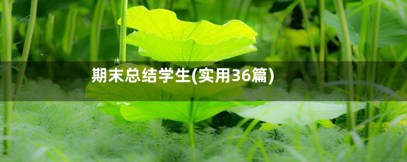 期末总结学生(实用36篇)