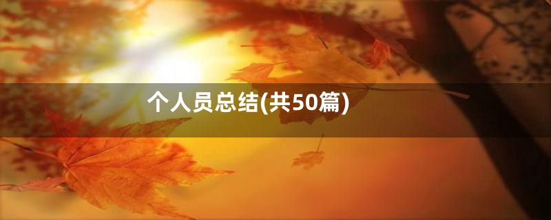 个人员总结(共50篇)