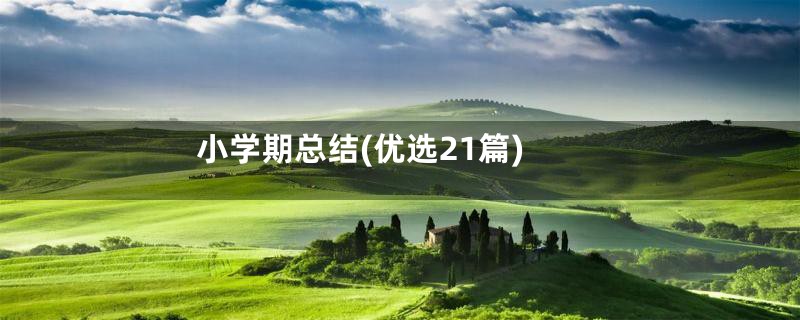 小学期总结(优选21篇)