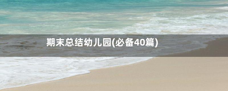 期末总结幼儿园(必备40篇)