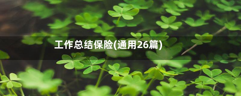 工作总结保险(通用26篇)
