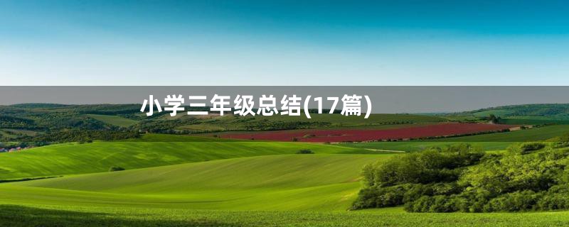 小学三年级总结(17篇)