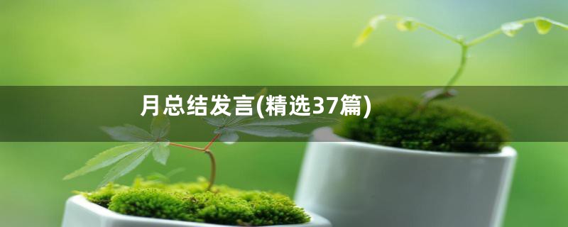 月总结发言(精选37篇)