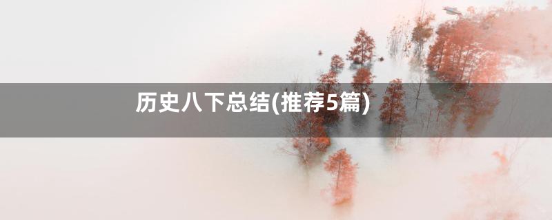 历史八下总结(推荐5篇)