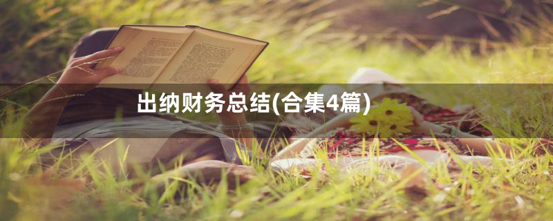 出纳财务总结(合集4篇)