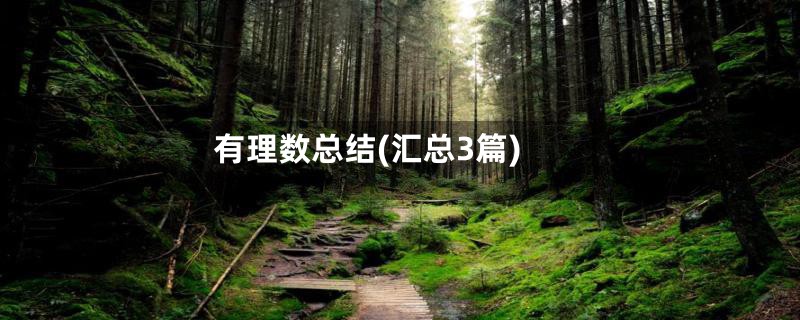 有理数总结(汇总3篇)