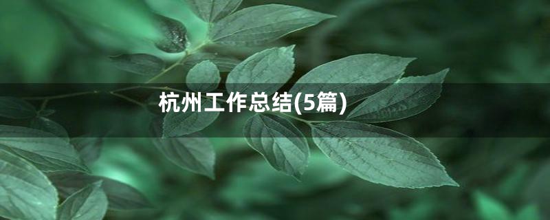 杭州工作总结(5篇)