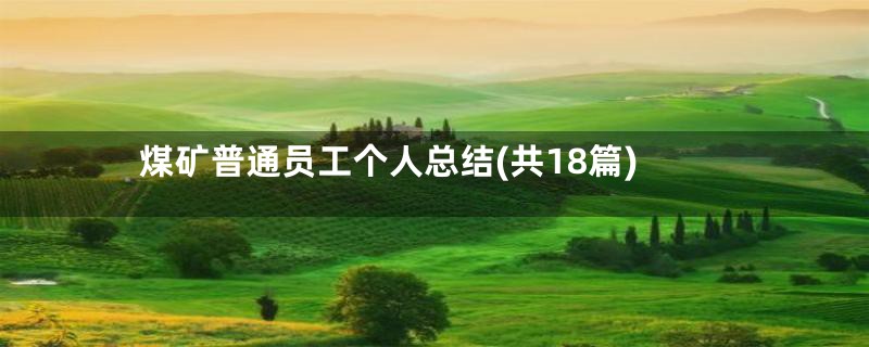 煤矿普通员工个人总结(共18篇)