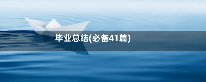 毕业总结(必备41篇)