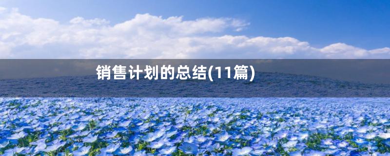 销售计划的总结(11篇)