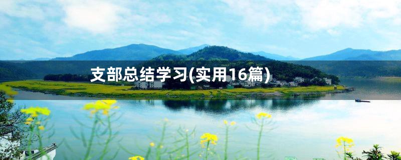 支部总结学习(实用16篇)