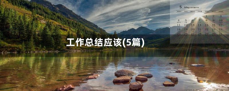 工作总结应该(5篇)
