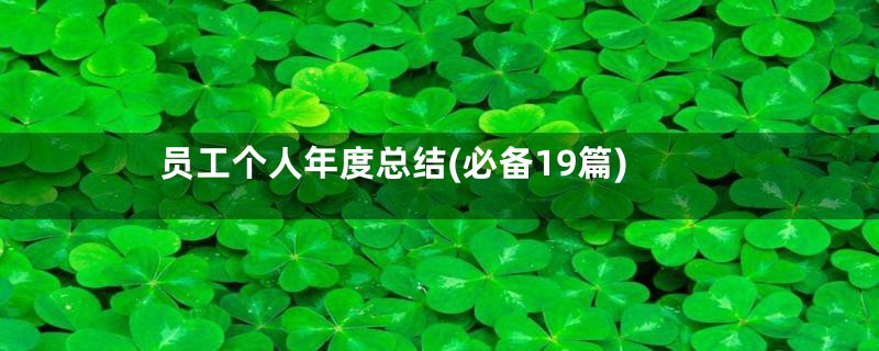 员工个人年度总结(必备19篇)