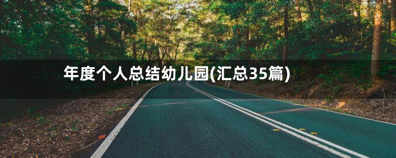 年度个人总结幼儿园(汇总35篇)