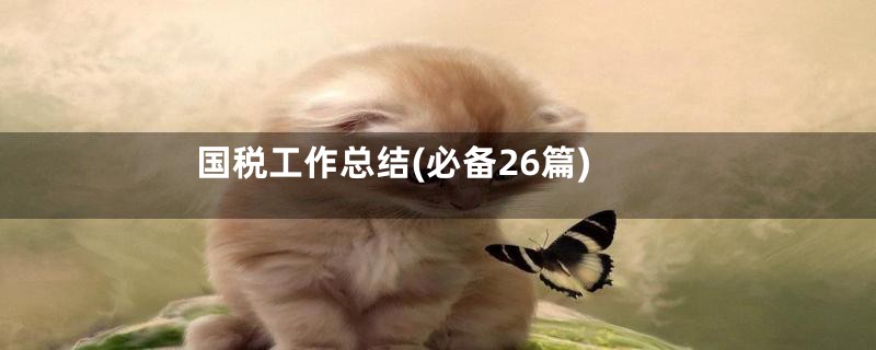 国税工作总结(必备26篇)