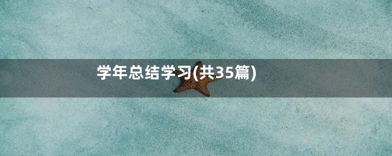 学年总结学习(共35篇)