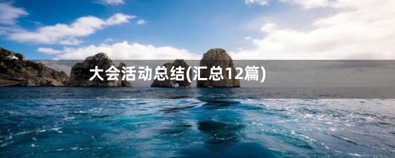 大会活动总结(汇总12篇)